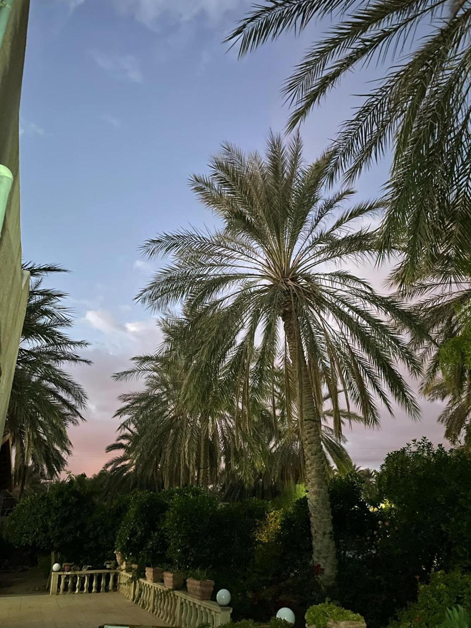 Dar Barka Hotel Kebili Luaran gambar