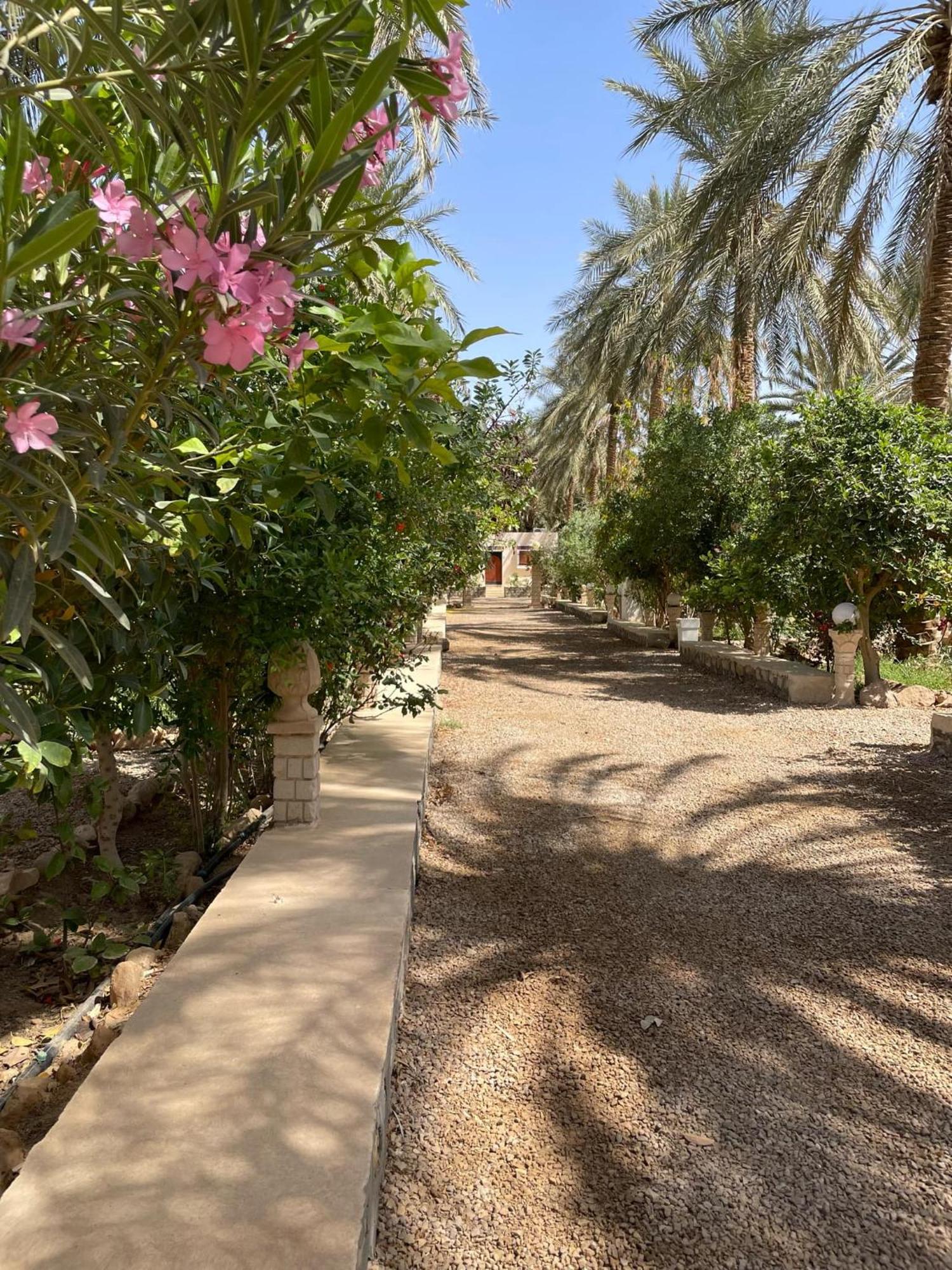 Dar Barka Hotel Kebili Luaran gambar